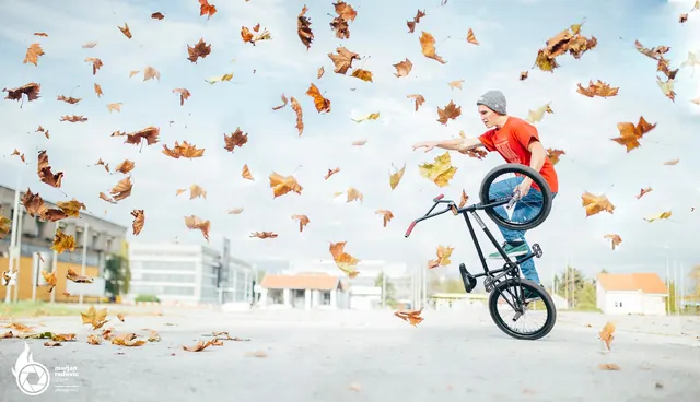 BMX rider in autumn leaves